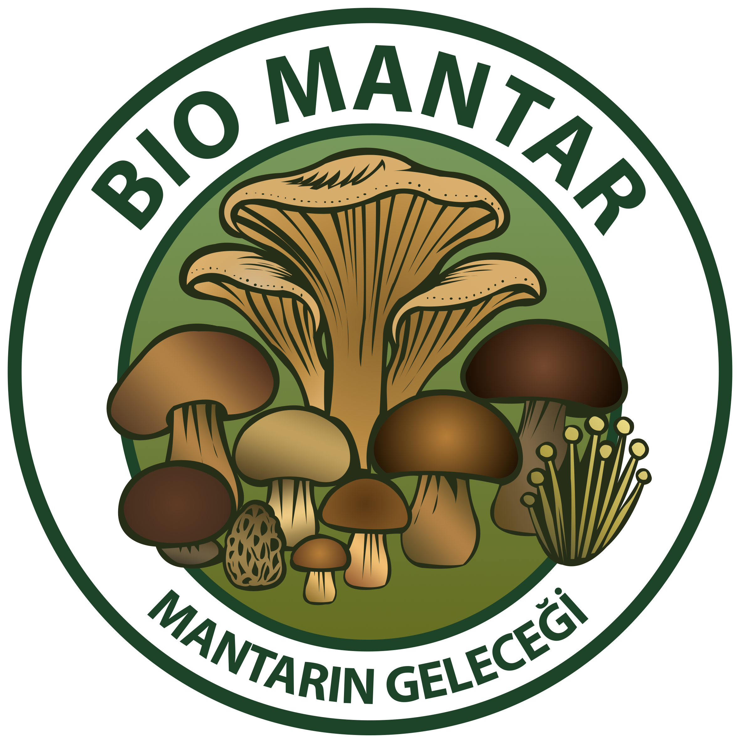 BioMantar Beyaz Arka Plan Logo Antalya Mantar